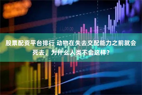 股票配资平台排行 动物在失去交配能力之前就会死去，为什么人类不会这样？